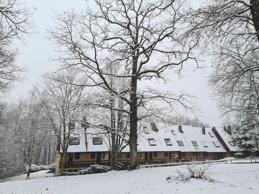 Appartement Au Calme Dans Residence Avec Piscine Boersch Exteriér fotografie